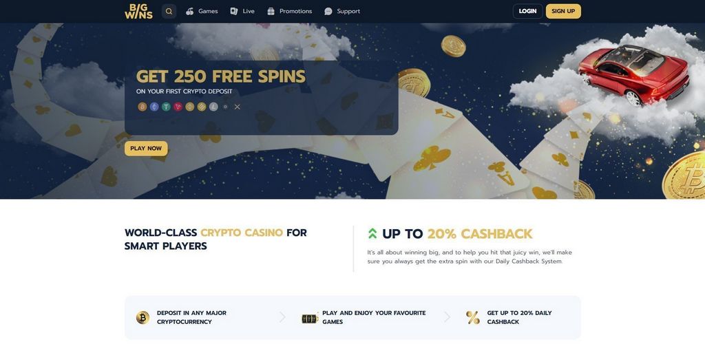 BigWins Gambling Establishment: Player Scores & Our Decision